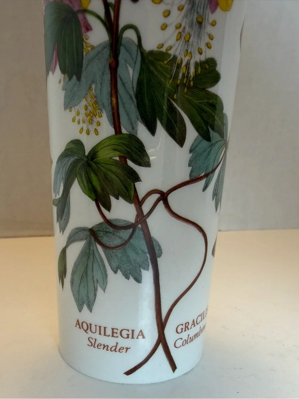 Vintage Portmeirion Botanic Garden Bud Vase Aquilegia Gracilis Slender Columbine
